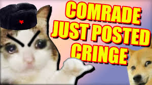 Cringe fotos (mit joon), danach memeshit, und homeless. Uamee Comrade You Just Posted Cringe Hardbass Youtube