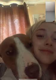 She has been found thank you everyone!! My friends dog took off her name is  kaya and they r in the argyle area he is desperately looking for her if u  have