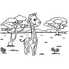 Giraffe is a cute animal who lives in sabana in africa. Cartoon Cute Giraffe Coloring Page Vector Illustration Royalty Free Cliparts Vectors And Stock Illustration Image 83074251
