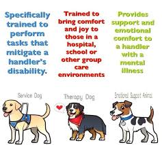Best Dog Breeds For Emotional Support Http Pets Ok Com Best Dog Breeds For Emotional Support Dogs 849 Html Service Dogs Emotional Support Dog Therapy Dogs