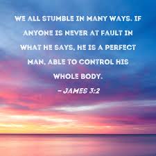 James 3:2 We all stumble in many ways. If anyone is never at fault in what  he says, he is a perfect man, able to control his whole body.