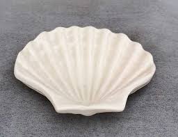 La Coquille Saint Jacques Comment Profiter De Ses Vertus En 2020 Coquille Saint Jacques Saint Jacques Coquille