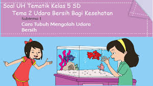 Latihan soal kelas 1 tema 1 subtema 2 tema : Soal Ulangan Harian Tematik Kelas 5 Tema 2 Subtema 1 Lengkap Dengan Kunci Jawaban Contoh Rpp Sd Dan Soal Sd