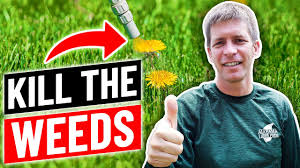 It's going to kill the ants rapidly. How To Kill Weeds In The Lawn Without Killing Grass Youtube