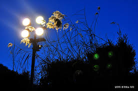 강등, · 1계급 아래 직급 강등(직급 구분 없는 경우. ê³µë¬´ì› ì§•ê³„ì˜ ì¢…ë¥˜ì™€ ì°¨ì´ íŒŒë©´ í•´ìž„ ì •ì§ ê°ë´‰ ê²¬ì±… 2010 03 24 13 38