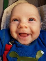 Bike Friday Haul a Day: Introducing Big Bird