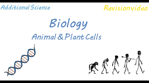 We did not find results for: B1 Cell Structure Transport A Hammond Biology