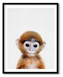 Baby orangutan at london zoo march 1984. Baby Monkey Print Nursery Animal Wall Art Safari Decor Framed Art Nursery Animals Cute Baby Monkey Framed Wall Art Wall Decor Paintings Wall Coverings Decals More