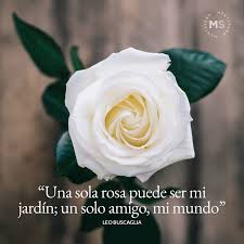 Un amigo es aquel que te acepta tal y como eres, hagas lo que hagas y digas lo que digas. 50 Frases Sobre La Amistad Verdadera