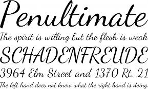 Fontsc.com is formed in the spirit of for fonts, where creative ideas meet beautiful designs as we all know great designs last forever! Dancing Script Ot Font Free By Impallari Type Font Squirrel