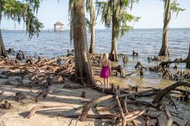 Area attractions and lakes include lake bruin state park, lake st. Louisianastateparks Lastateparks Twitter
