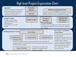 Project Organization Chart Roles Responsibilities Matrix