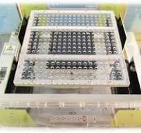 Natural Convection and Constant Temperature Chamber ...