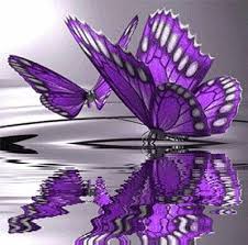  Kupu Kupu Butterfly Pictures Beautiful Butterflies Butterfly