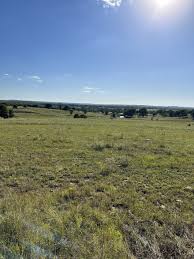 Killers of The Flower Moon' puts Osage Reign of Terror in spotlight, but  there's more to the story