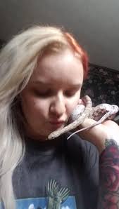 All of my hides and things that came with my temporary enclosure have  separated and wondered what kind of glue people would recommend to fix  them? I have plenty of strong glue