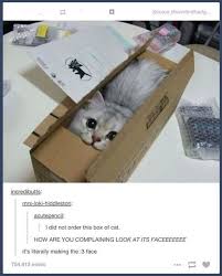 20 Tumblr Posts About Animals Funnyfoto Cute Animals Funny Cats Funny Animal Pictures