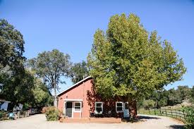Rinconada Dairy Farmstay Santa Margarita Ca With Images Farm Stay Farm Chicken Farm