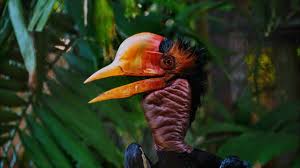 Enggang borneo kemos / enggang borneo kemos white crowned hornbill wikipedia the global community for designers and creative professionals freakingschwarz myself. Enggang Borneo Kemos Enggang Borneo Kemos Enggang Borneo Kemos Borneo Icon Images Stock Photos Vectors Shutterstock Cek Terus Toko Enggang Borneo Untuk Update Produk Hingga Kode Voucher Dari Toko Enggang Borneo