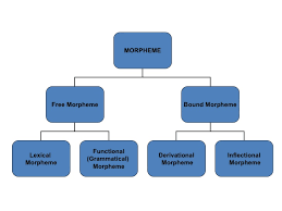 In its absence, the basic meaning of a sentence can still be. Morphology Son