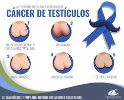 תג Testiculo בטוויטר