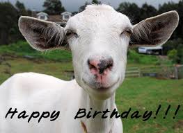 Pin On Birthday For My Goats