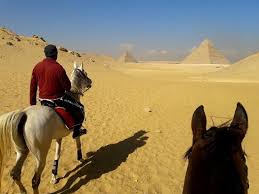 Riders on horses, camels charge into crowd in egypt. Horse Riding Around The Pyramids Picture Of Beautiful Egypt Tours Cairo Tripadvisor