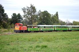 Maybe you would like to learn more about one of these? A Kisvonat Nagy Szuletesnapja Iden Hetveneves A Fenyvesi Kisvasut Likebalaton