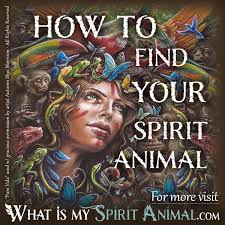 … 2) you have dreams and visions of wolves often. How To Find Your Spirit Animal The Complete Guide