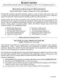 International Sales Resume Example