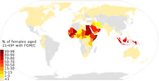 Life, batch, strict, science, art education, life expectancy. Prevalence Of Female Genital Mutilation Wikipedia