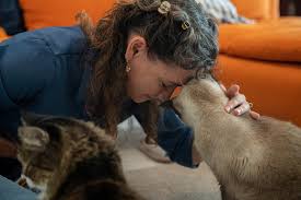 For many years, scientists have been trying to find out how exactly cats came to be and it seems like they have. Paws For Thought On International Cat Day Environment The Jakarta Post