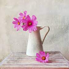 Still Life Pink Flowers Still Life Flowers Acrylic Painting Flowers Flower Art Painting