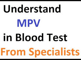What Is Mpv Blood Test Youtube