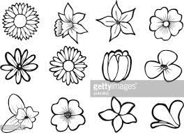 Illustrations Of Six Tropical Flowers Also Available In Full Color Simple Flower Drawing Flower Art Drawing Flower Drawing