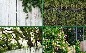 Open 7 days a week, with 20 acres of selection, you'll find everything you need at mesquite valley growers nursery: What To Do If Neighbours Plants And Trees Are Growing Over My Fence