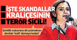 2019'daki seçimlerin türkiye için önemli bir dönemeç olduğunu savunan kanat, bu süreçte. Iste Chp Li Canan Kaftancioglu Nun Kabarik Teror Sicili Takvim