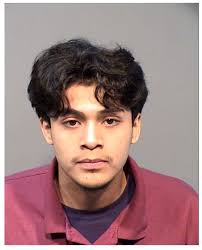 Suspected Gang Members Plead Guilty to Rodeo Shooting, Homeless Assault