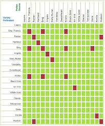 Fruit Trees Berries Nuts Ornamentals Raintree Nursery Pollination Sweet Cherries Fruit Trees
