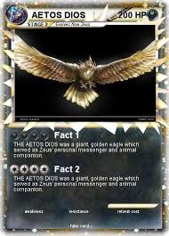 Find over 100+ of the best free bird images. Pokemon Aetos Dios
