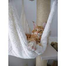 Les jolis petits appartements adopteront un beau arbre à chat tandis que les possesseurs de beaucoup chats sont obligés de avantager l'arbre a chat. Hamac De Sous Montage Pour Arbre A Chat Cage Une Place Supplementaire Pour Des Chats Courageux Petfun Arbre A Chat