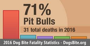 Pit Bull Attacks Vs Other Breeds Statistics