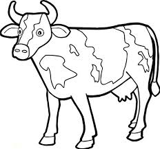 A cow is a nice animal that is calm and friendly. Pin Em Coloring Pages