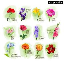August Images August Pictures August Wallpaper August Quotes August Sayings Flowertattoos Flower Tattoos Birth Month Flowers Birthday Month Flowers August Flower Tattoo