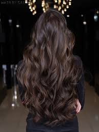 While auburn and chestnut are often confused, the two colors are very different. Chestnut Brown Color Gallery Hair By Salah