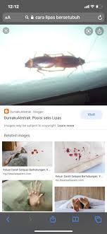 Orgasme dan memuncratkan semua cairan kental keluar memeknya dan aku membaluri terong itu dengan cairan ibuku. Bie On Twitter Pasangan Dibunuh Ketika Sedang Berzina Di Dalam Kereta