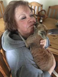 Sad to post that Sharon (McCandless) Newton passed away today from an  extended illness. Services are pending...