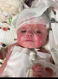 Prayers for Dog's Spaying Surgery