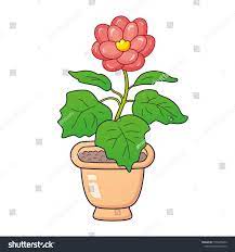 Begonia Flower Cartoon Best Flower Wallpaper