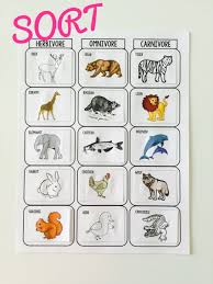 Herbivore Carnivore And Omnivore Sort A Fun Way For For Students To Learn And Practice This Sc Animales Carnivoros Ciencia Divertida Adivinanzas Para Ninos